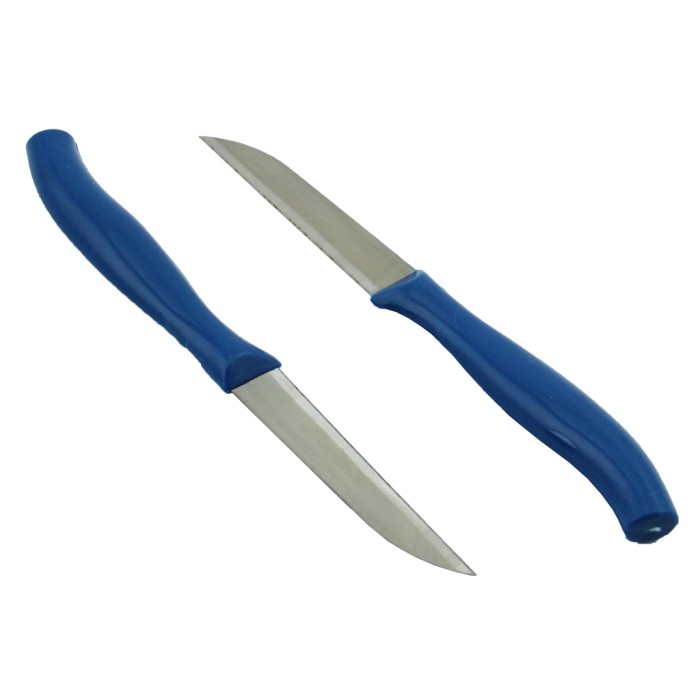 Perotti 6'lı Meyve Bıçağı - Mavi